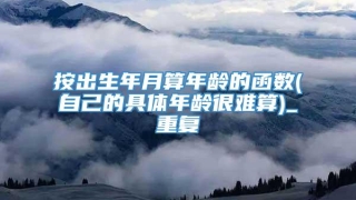 按出生年月算年龄的函数(自己的具体年龄很难算)_重复