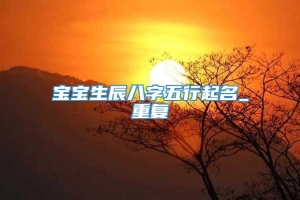 宝宝生辰八字五行起名_重复