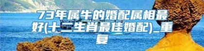 73年属牛的婚配属相最好(十二生肖最佳婚配)_重复