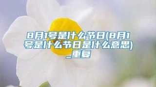 8月1号是什么节日(8月1号是什么节日是什么意思)_重复