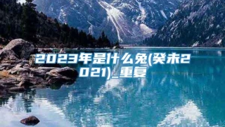 2023年是什么兔(癸未2021)_重复