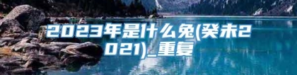 2023年是什么兔(癸未2021)_重复