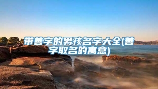 带善字的男孩名字大全(善字取名的寓意)