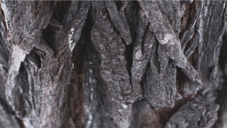 2021年73年牛女最旺财的颜色(今日生肖运势预测)_重复