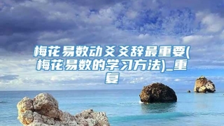 梅花易数动爻爻辞最重要(梅花易数的学习方法)_重复
