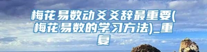 梅花易数动爻爻辞最重要(梅花易数的学习方法)_重复