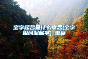 宝字起名是什么意思(宝字组词起名字)_重复