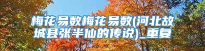 梅花易数梅花易数(河北故城县张半仙的传说)_重复