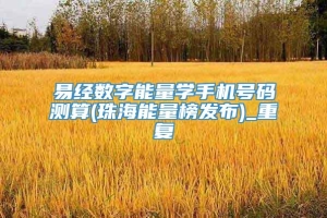 易经数字能量学手机号码测算(珠海能量榜发布)_重复