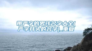 带严字的男孩名字大全(严字开头的名字)_重复