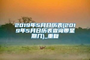 2019年5月日历表(2019年5月日历表查询带星期几)_重复