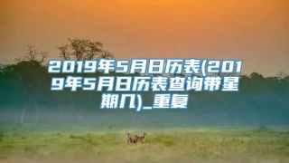 2019年5月日历表(2019年5月日历表查询带星期几)_重复