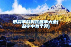 带羿字的男孩名字大全(名字中有个羿)