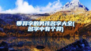 带羿字的男孩名字大全(名字中有个羿)