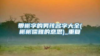 带彬字的男孩名字大全(彬彬儒雅的意思)_重复