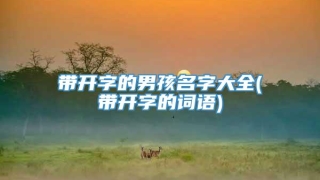 带开字的男孩名字大全(带开字的词语)