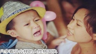 八字比肩的特性(八字比肩旺)