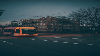 52年属什么生肖婚配(宜是什么生肖)_重复