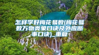 怎样学好梅花易数(梅花易数万物类象口诀及外应断事口诀)_重复