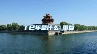 丁巳年是什么_重复