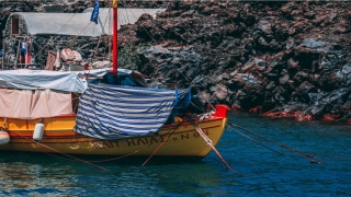 茶字起名是什么意思(茶字适合取名吗)