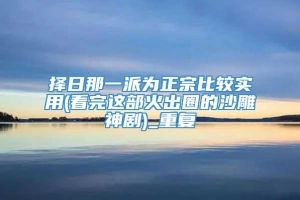 择日那一派为正宗比较实用(看完这部火出圈的沙雕神剧)_重复