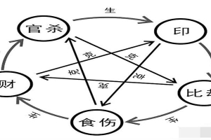 比劫与食伤(食伤旺走比劫大运)