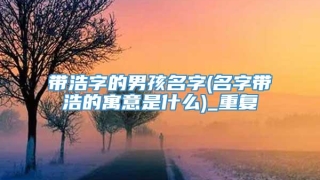 带浩字的男孩名字(名字带浩的寓意是什么)_重复