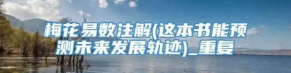 梅花易数注解(这本书能预测未来发展轨迹)_重复