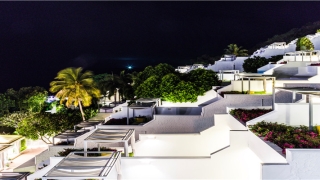 85年属牛女2020年每月运势(85牛一生运程)