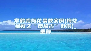 常鹤鸣梅花易数案例(梅花易数之“观梅占”卦例)_重复
