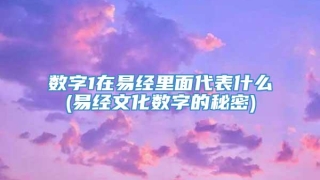 数字1在易经里面代表什么(易经文化数字的秘密)
