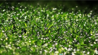 简单微信昵称(相思的微信昵称简短)