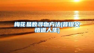 梅花易数寻物方法(菩提文悟道人生)