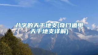 八字的天干地支(奇门遁甲天干地支详解)
