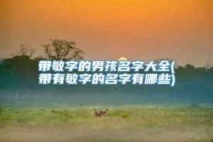 带敏字的男孩名字大全(带有敏字的名字有哪些)
