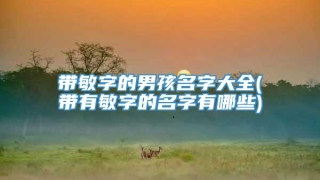 带敏字的男孩名字大全(带有敏字的名字有哪些)
