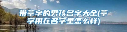带莘字的男孩名字大全(莘字用在名字里怎么样)