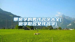 带宛字的男孩名字大全(宛字取名女孩名字)