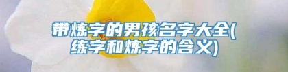 带炼字的男孩名字大全(练字和炼字的含义)