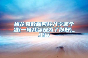 梅花易数和四柱八字哪个准(一句我都是为了你好)_重复