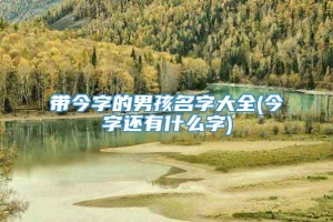 带今字的男孩名字大全(今字还有什么字)