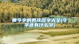 带今字的男孩名字大全(今字还有什么字)