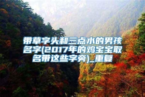 带草字头和三点水的男孩名字(2017年的鸡宝宝取名带这些字旁)_重复