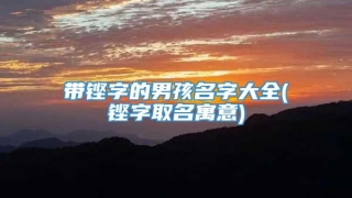带铿字的男孩名字大全(铿字取名寓意)