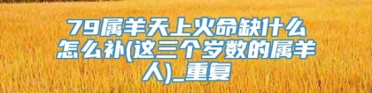 79属羊天上火命缺什么怎么补(这三个岁数的属羊人)_重复