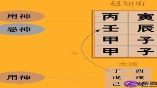 《渊海子平》论子遥巳格的取用与行运