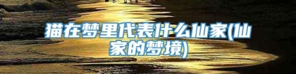 猫在梦里代表什么仙家(仙家的梦境)