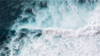 3月8日是什么星座(十二星座专属形容词)_重复