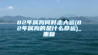 82年属狗何时走大运(82年属狗的是什么命运)_重复